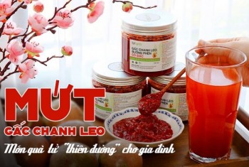 TẾT NÀY MANG QUÀ VỀ CHO MẸ THÌ ĐỪNG QUÊN HŨ GẤC CHANH LEO ĐƯỜNG PHÈN CÔ ĐẶC NHÉ!