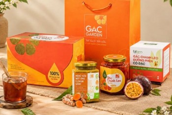 Bạn đã sẵn sàng tái thiết sức khỏe bền vững cho cha mẹ với combo gấc nghệ chưa?