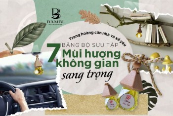 Bộ sưu tập 7 mùi hương nước hoa không gian của BiMore mang đến những phong cách mà bạn yêu thích nhất...