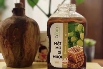 Tăng chức năng trao đổi chất và hệ miễn dịch với Mật mơ xí muội 