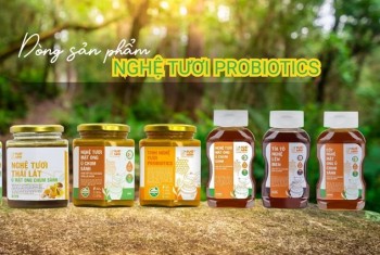 Dòng sản phẩm Nghệ tươi Probiotics - Nghệ Sành có gì? 
