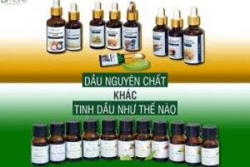 Bạn đã phân biệt được dầu với tinh dầu chưa?