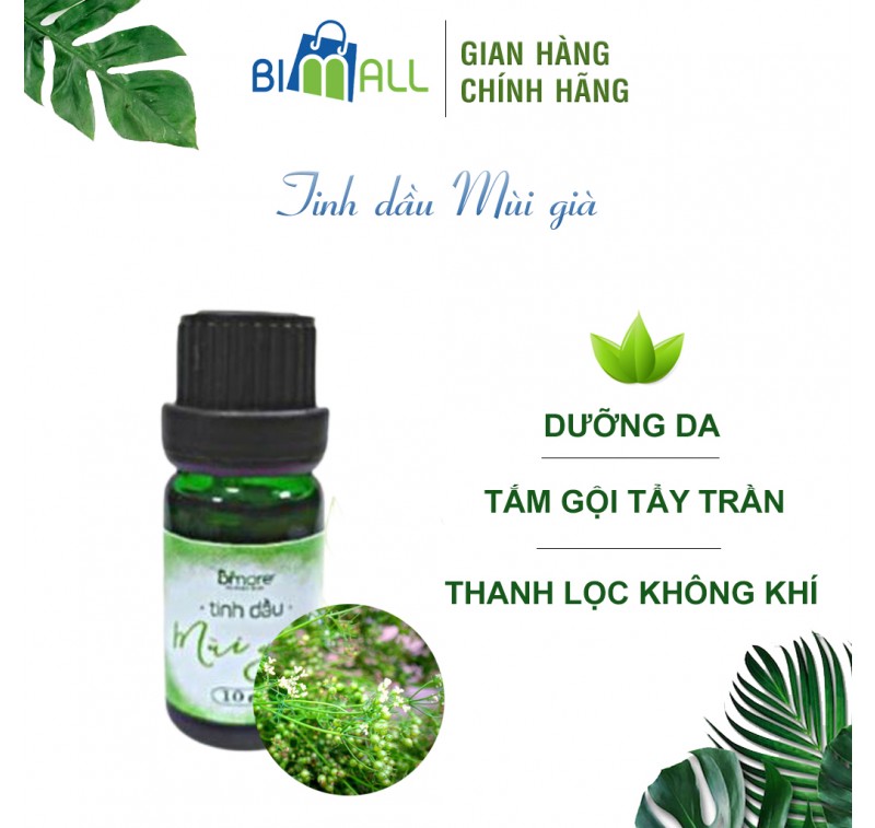 TINH DẦU MÙI GIÀ